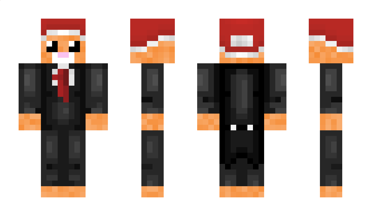 Putkis Minecraft Skin