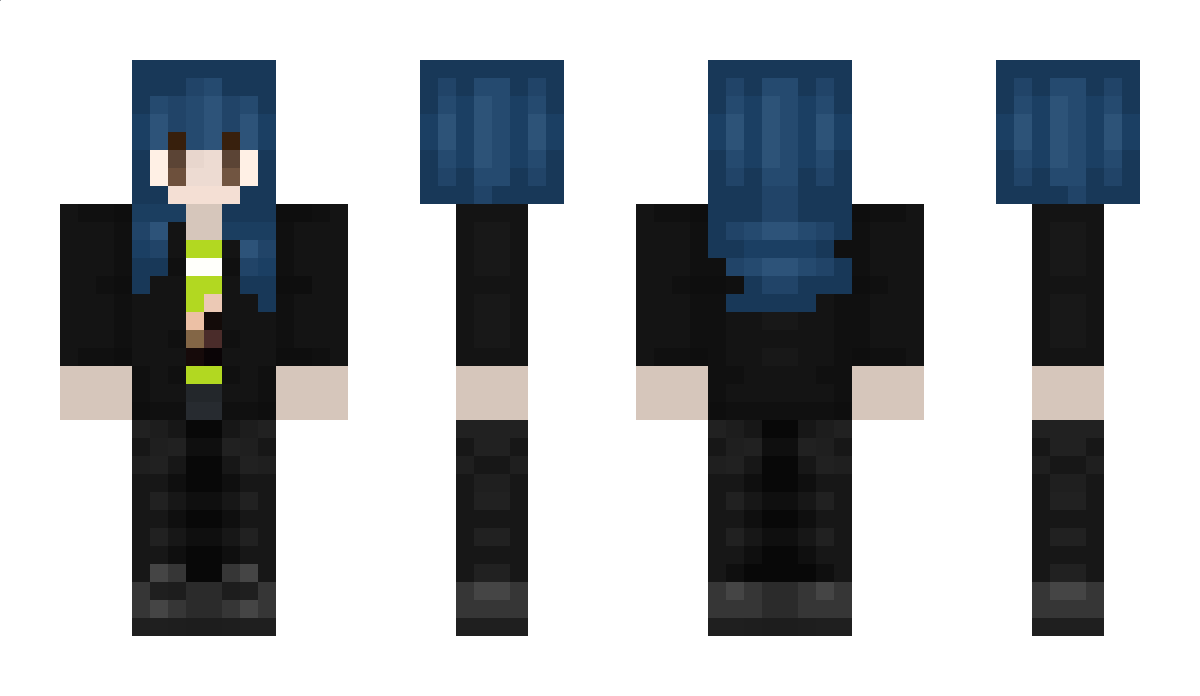 swedishturtles Minecraft Skin