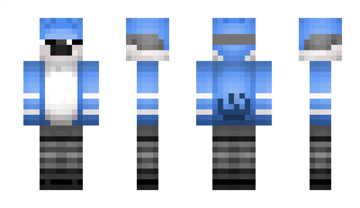 Ron2Fly Minecraft Skin