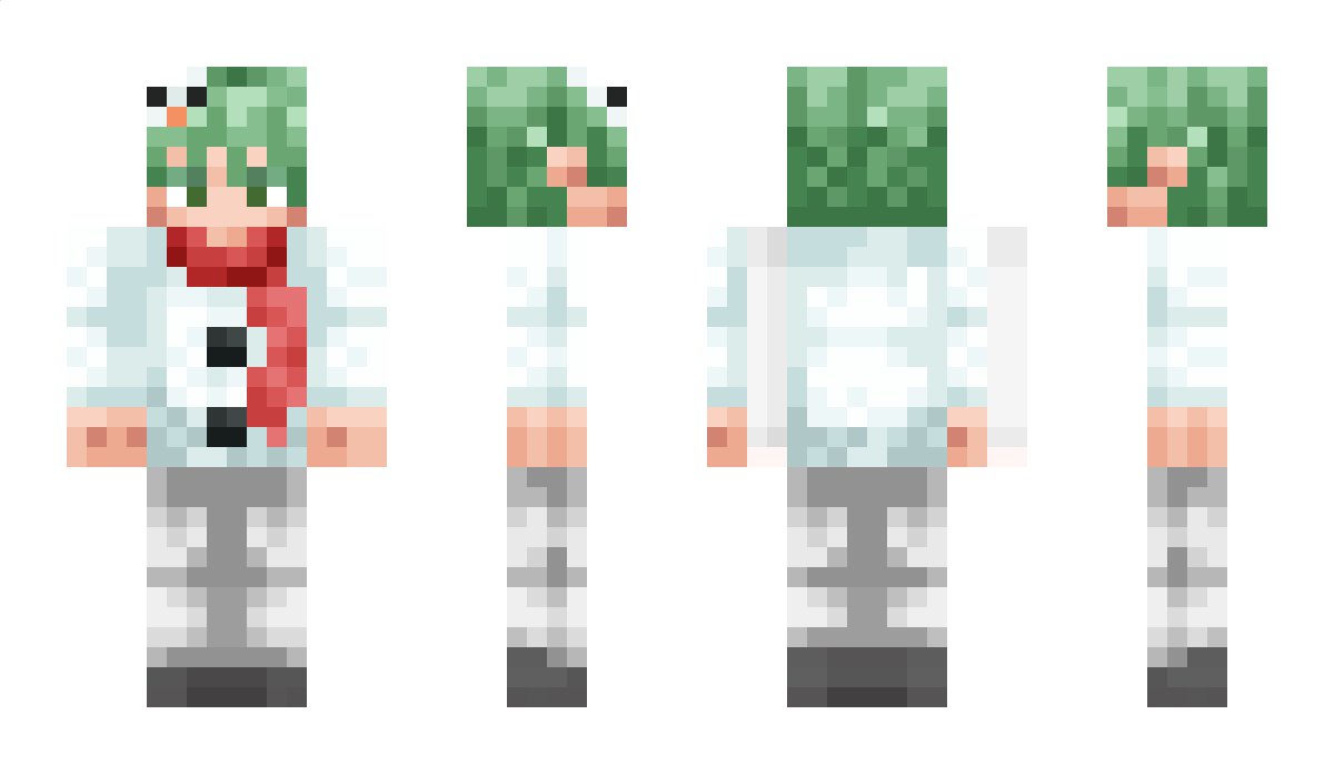 FoHarytik Minecraft Skin