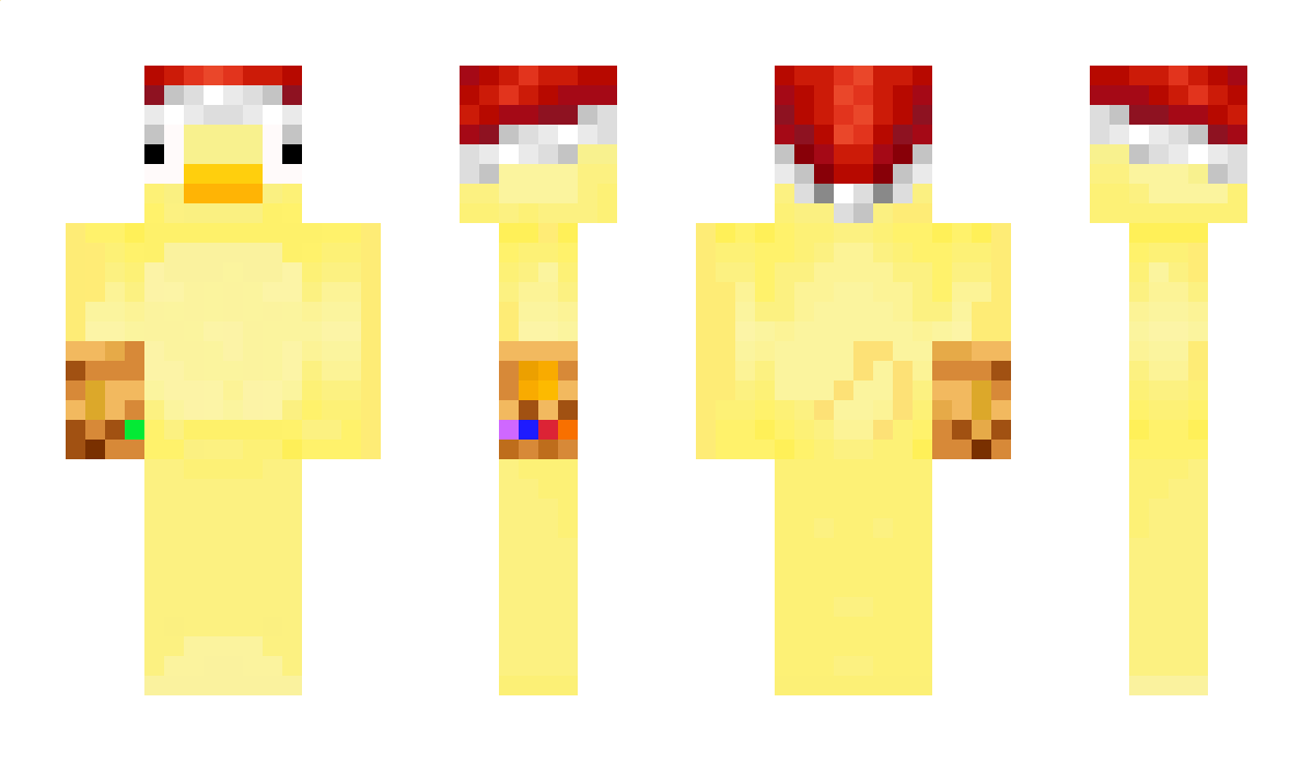 chani829a Minecraft Skin