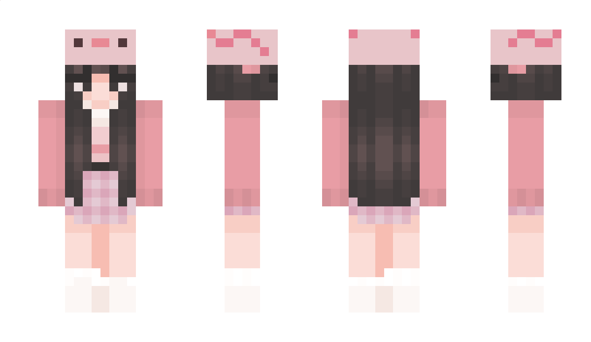 Pugafa Minecraft Skin