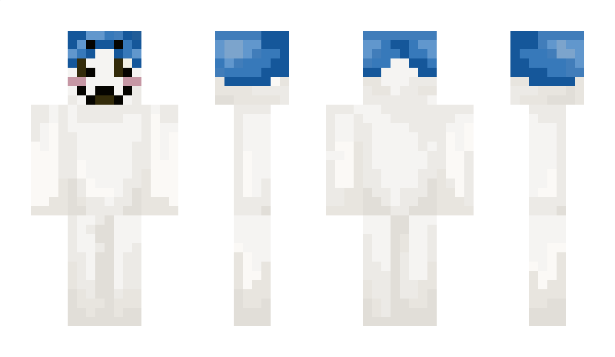 NavysRight Minecraft Skin