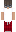 dzewid Minecraft Skin