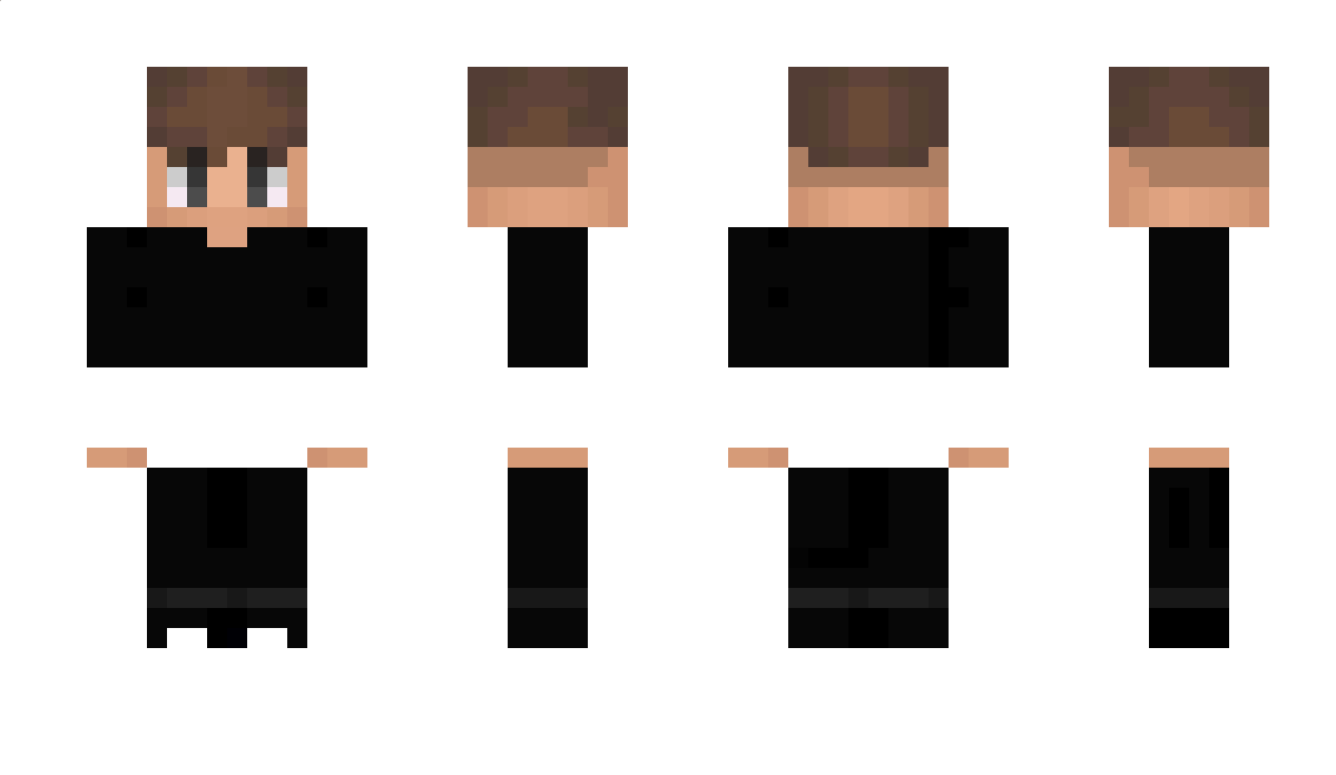 TheEcho911 Minecraft Skin