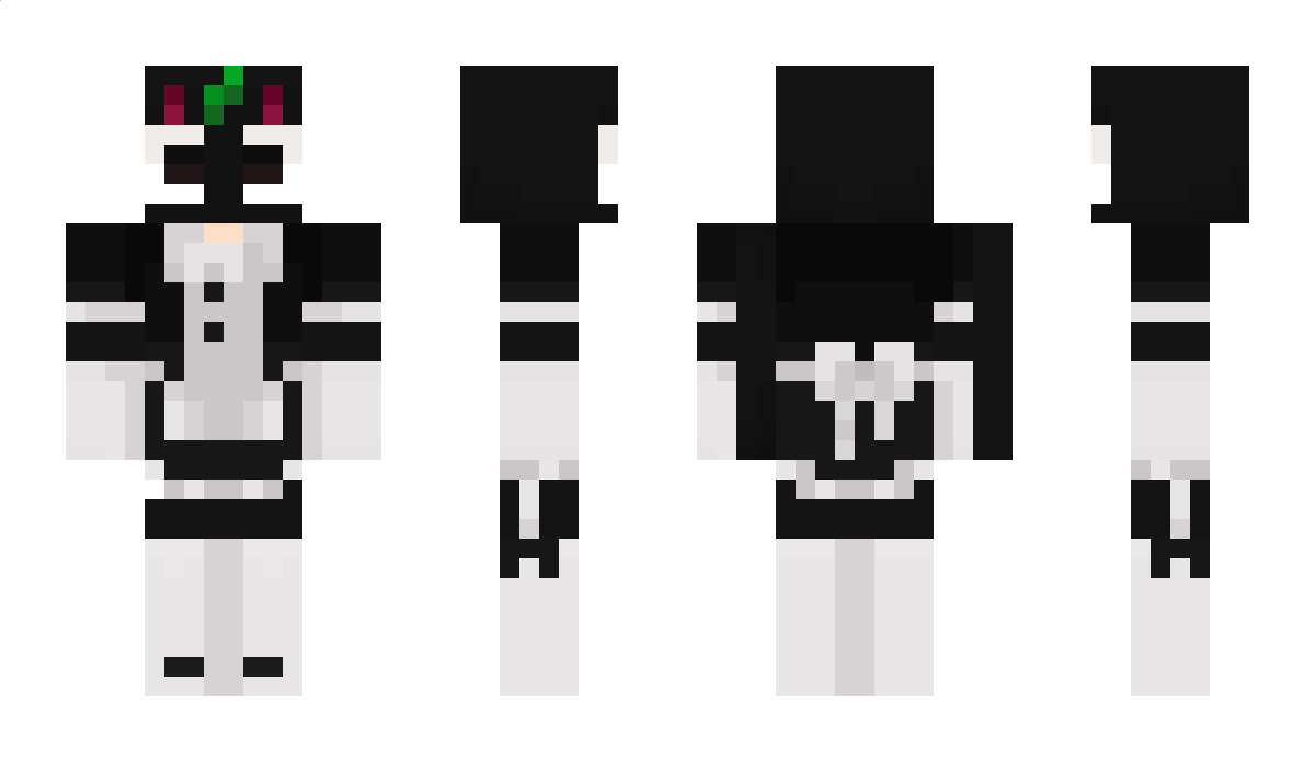 gattocalzino_ Minecraft Skin