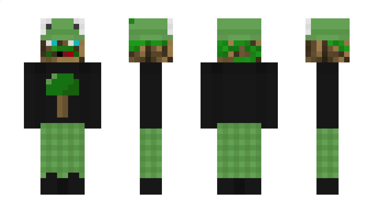 President_Baum Minecraft Skin