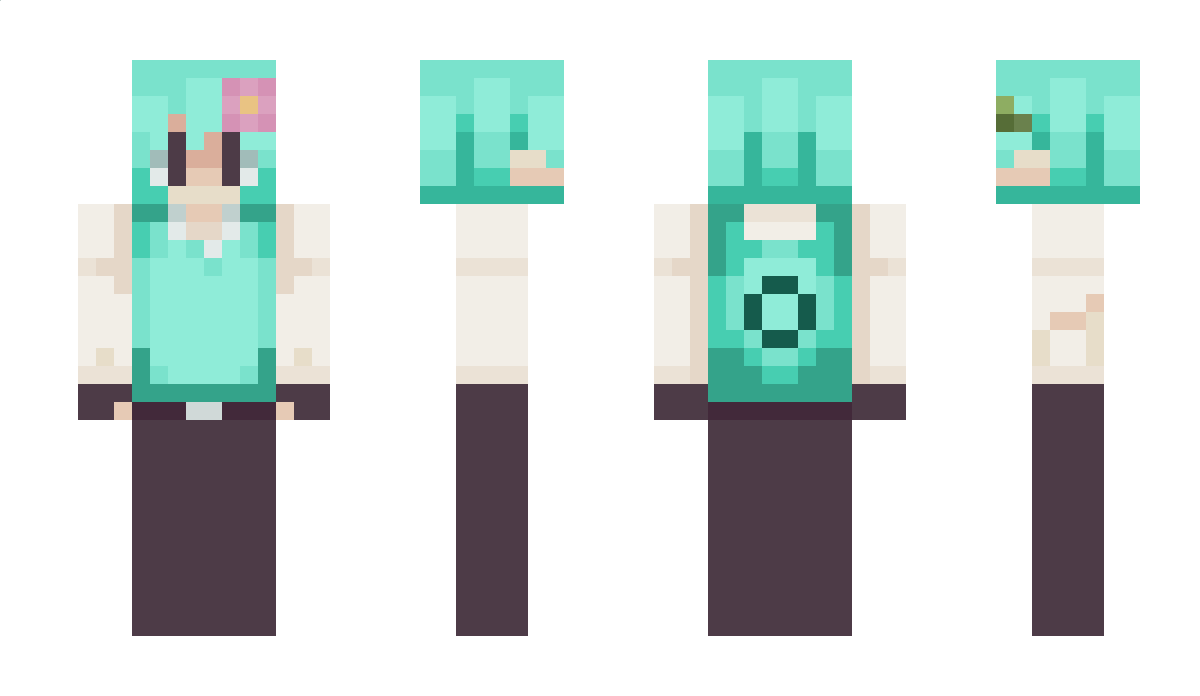 conexiion Minecraft Skin