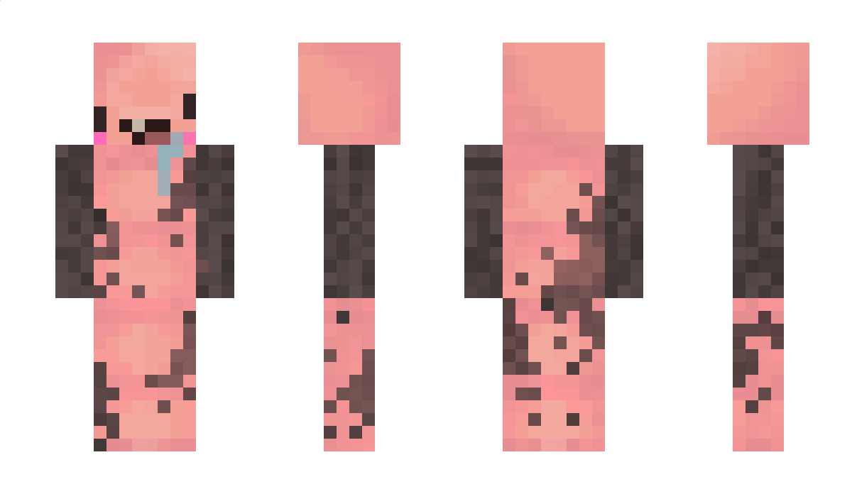 LesAlanos Minecraft Skin