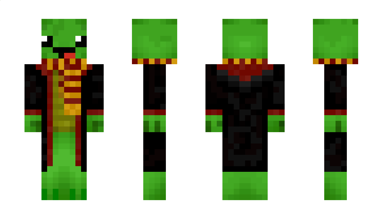 Turtle_Poter Minecraft Skin