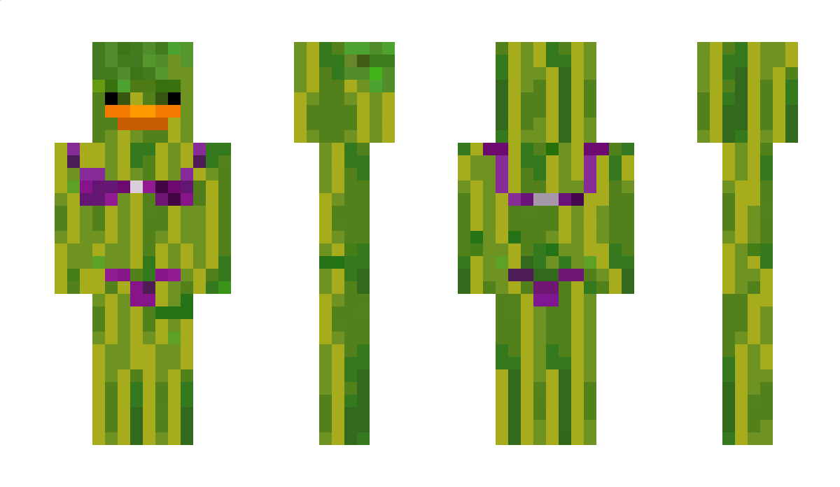 arbuzok_ Minecraft Skin