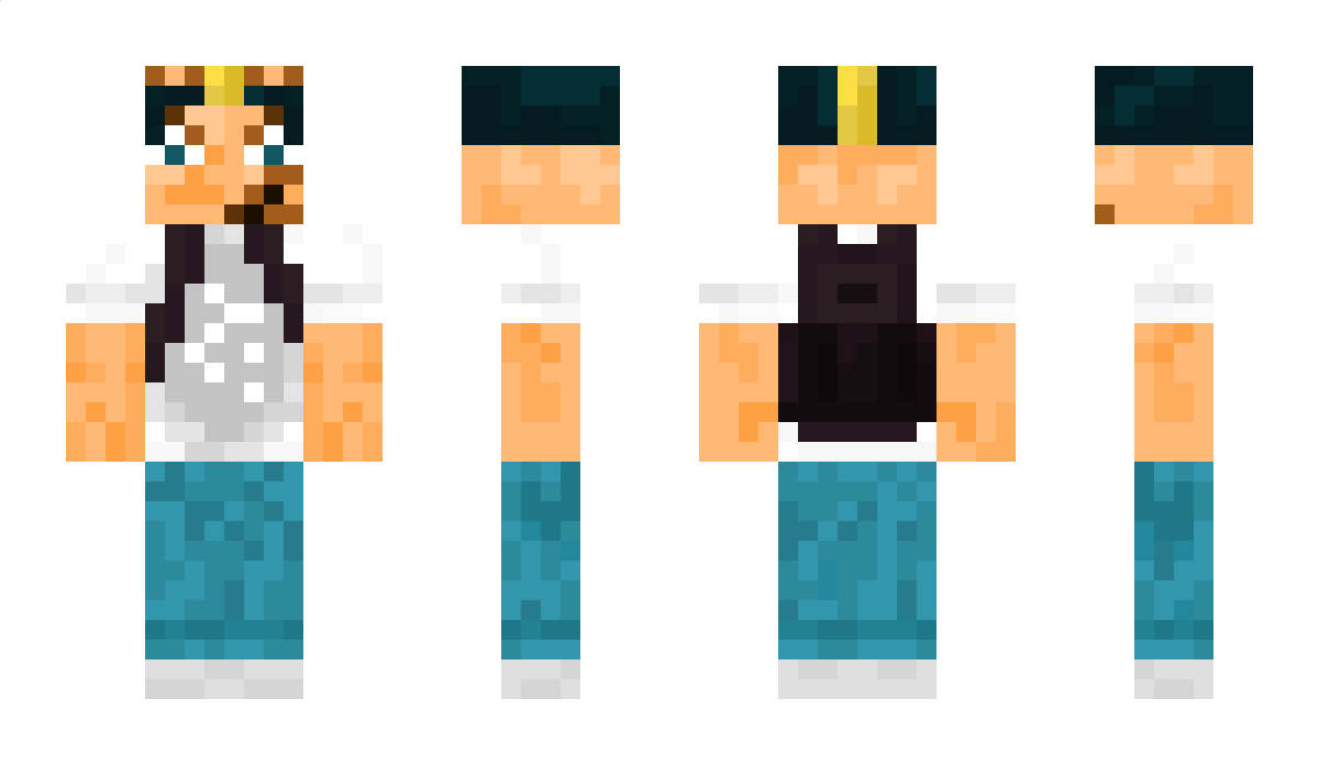 sashok_dimasik Minecraft Skin