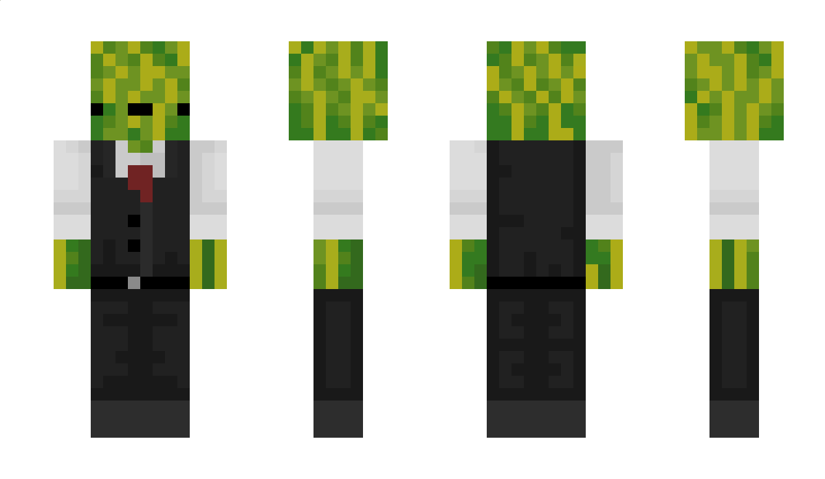MrMelonman0315 Minecraft Skin