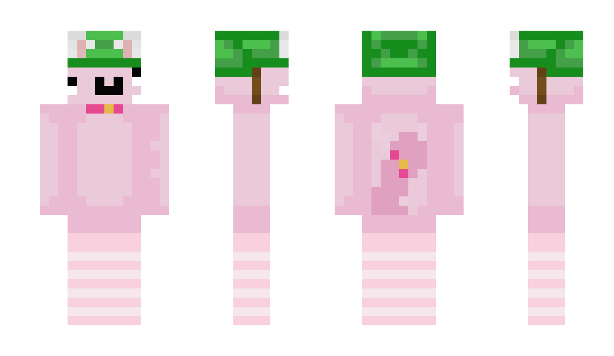 Zelvaa Minecraft Skin