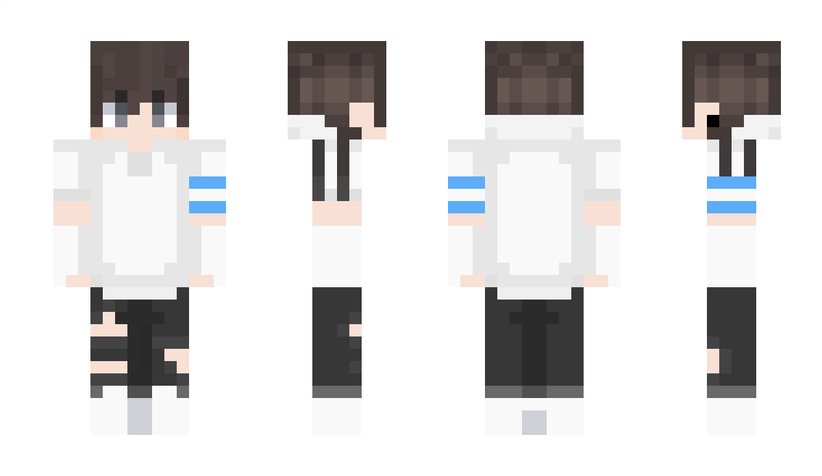 WhiteGray Minecraft Skin