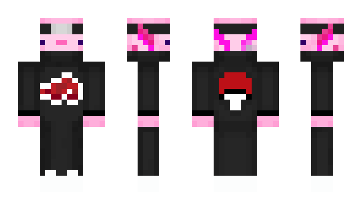 Nayroxx Minecraft Skin