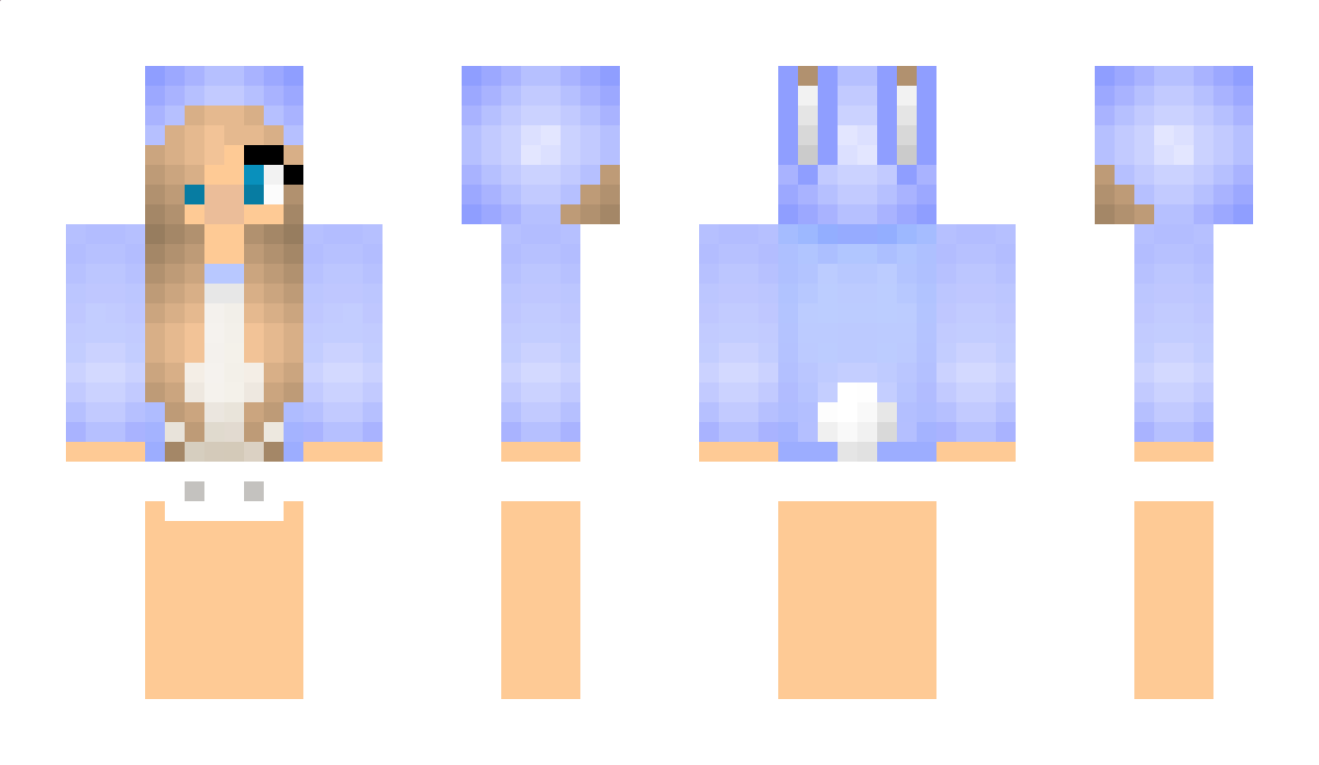 bauy Minecraft Skin