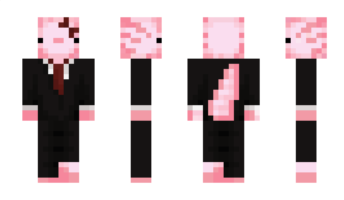 wintersflwrs Minecraft Skin
