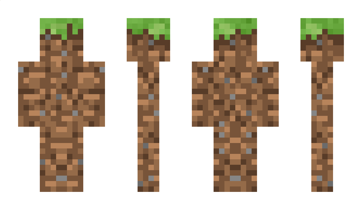 Diet Minecraft Skin