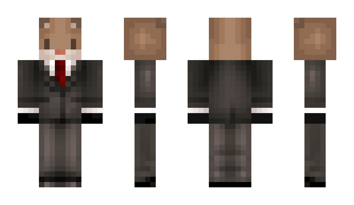 hampter7139 Minecraft Skin