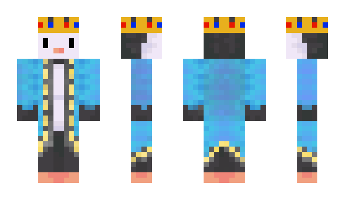 MrTortie101 Minecraft Skin