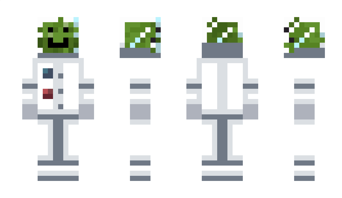 Spacefroggi Minecraft Skin