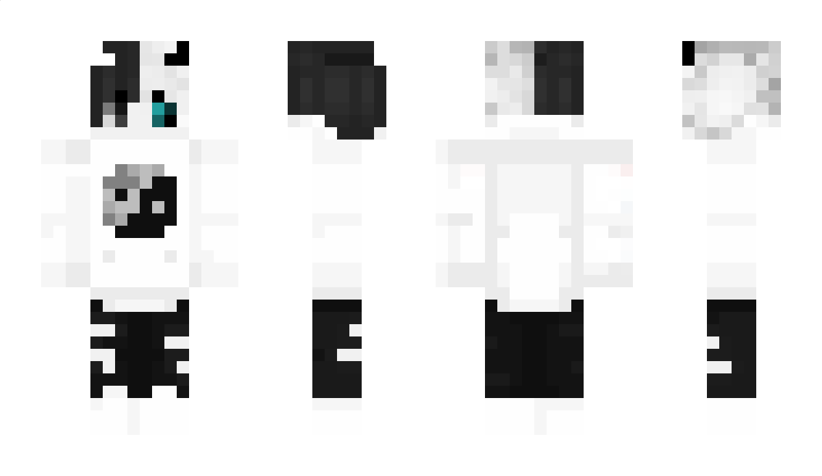 SaarDerWeise Minecraft Skin