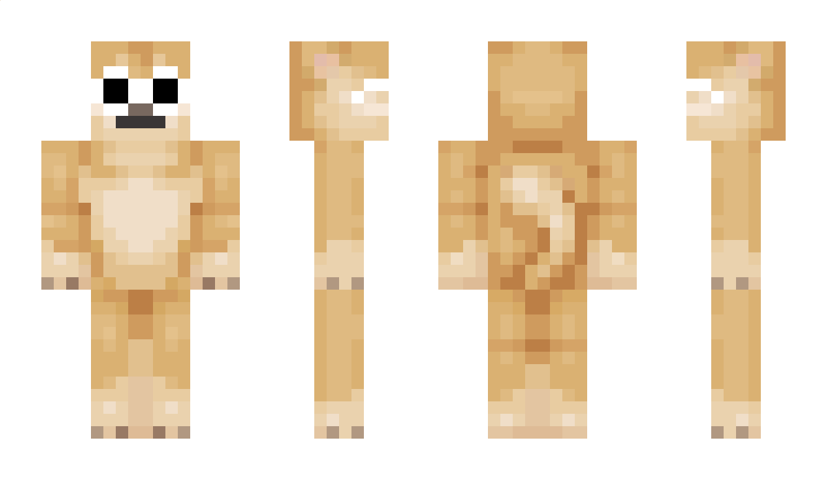 LownZ Minecraft Skin