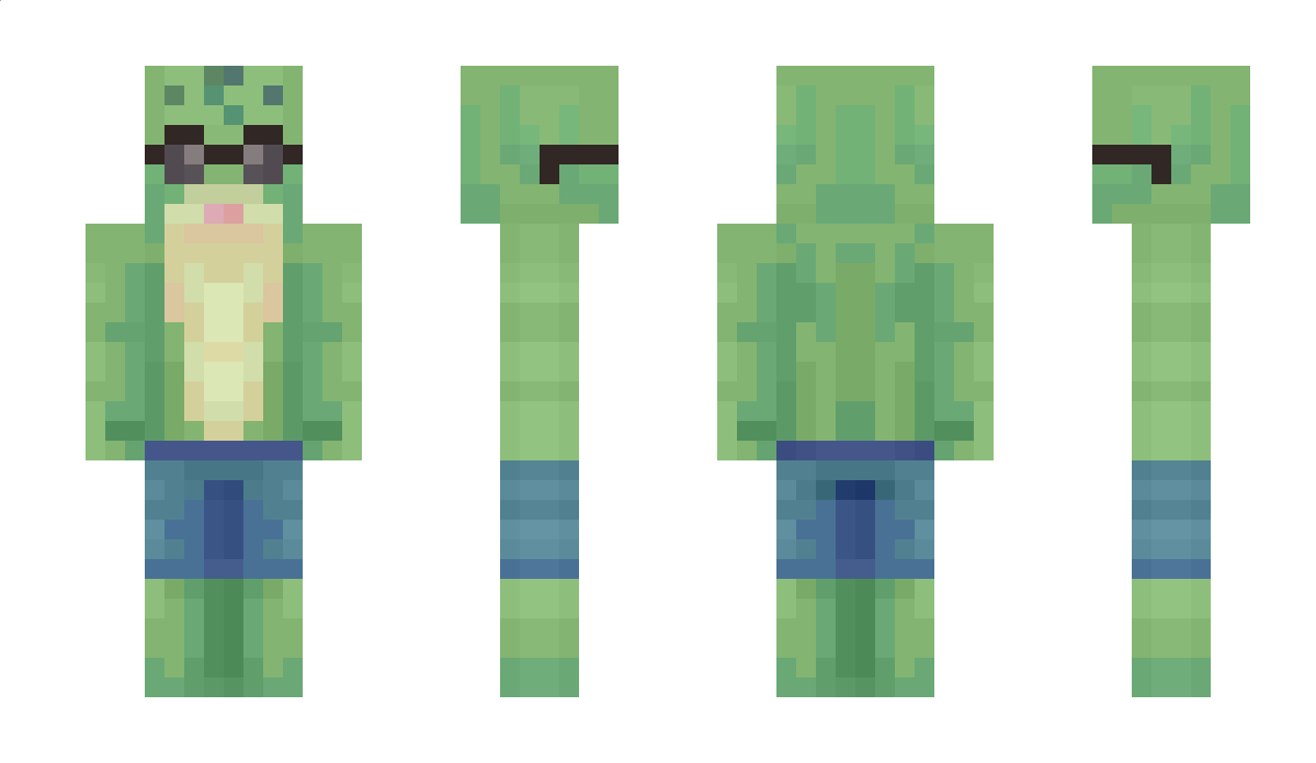 petuli9s Minecraft Skin