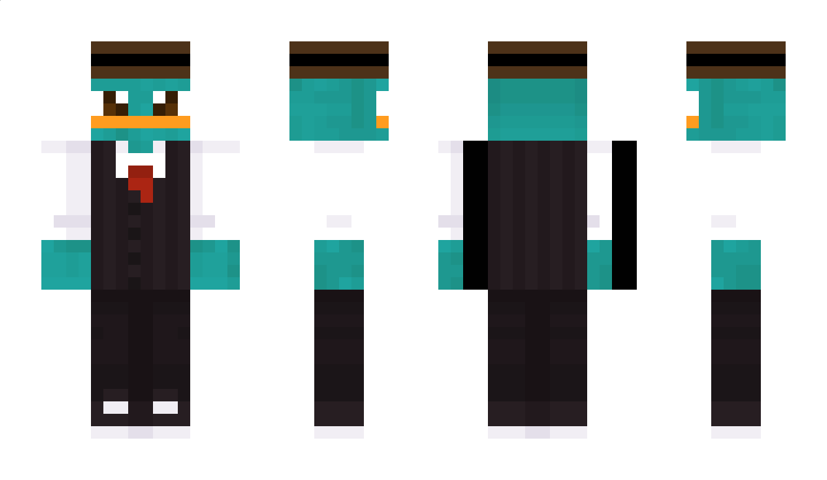 tillfabricius Minecraft Skin