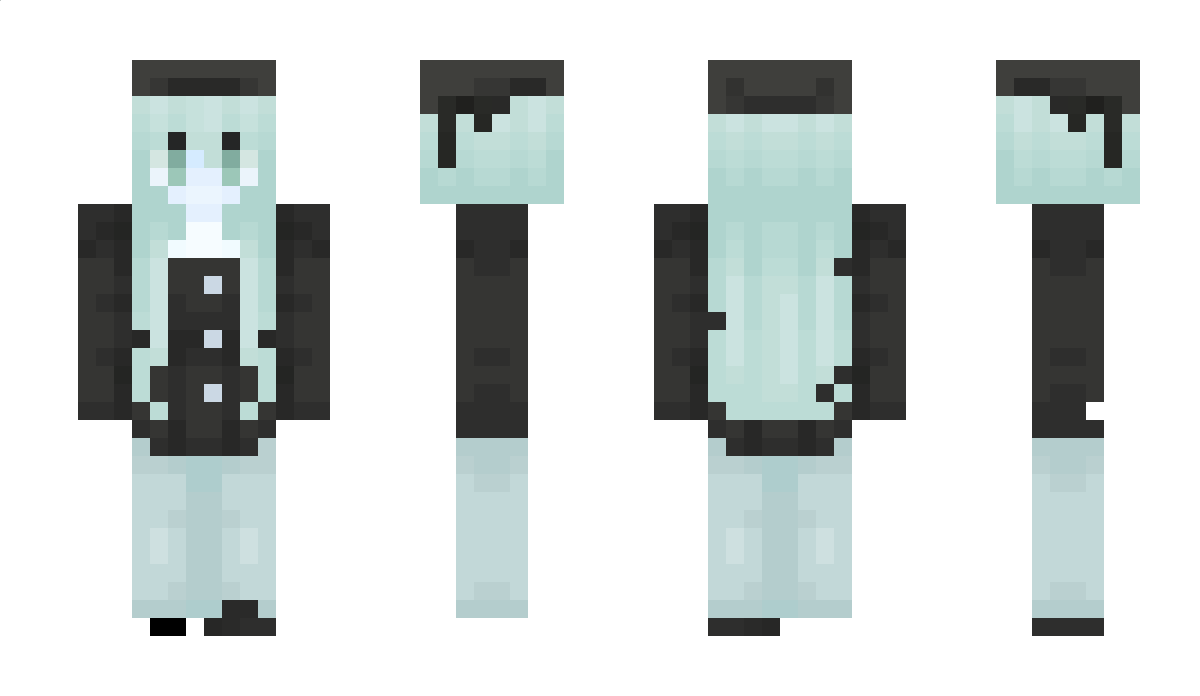 winses Minecraft Skin