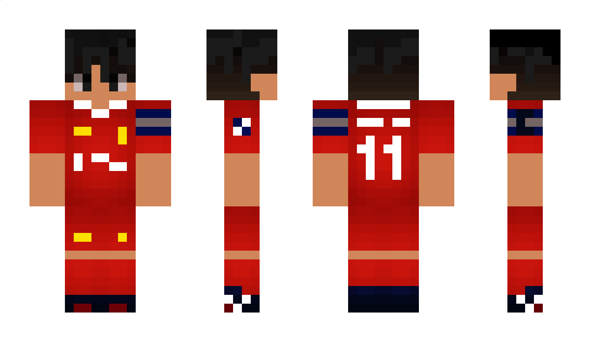 Aminall11 Minecraft Skin