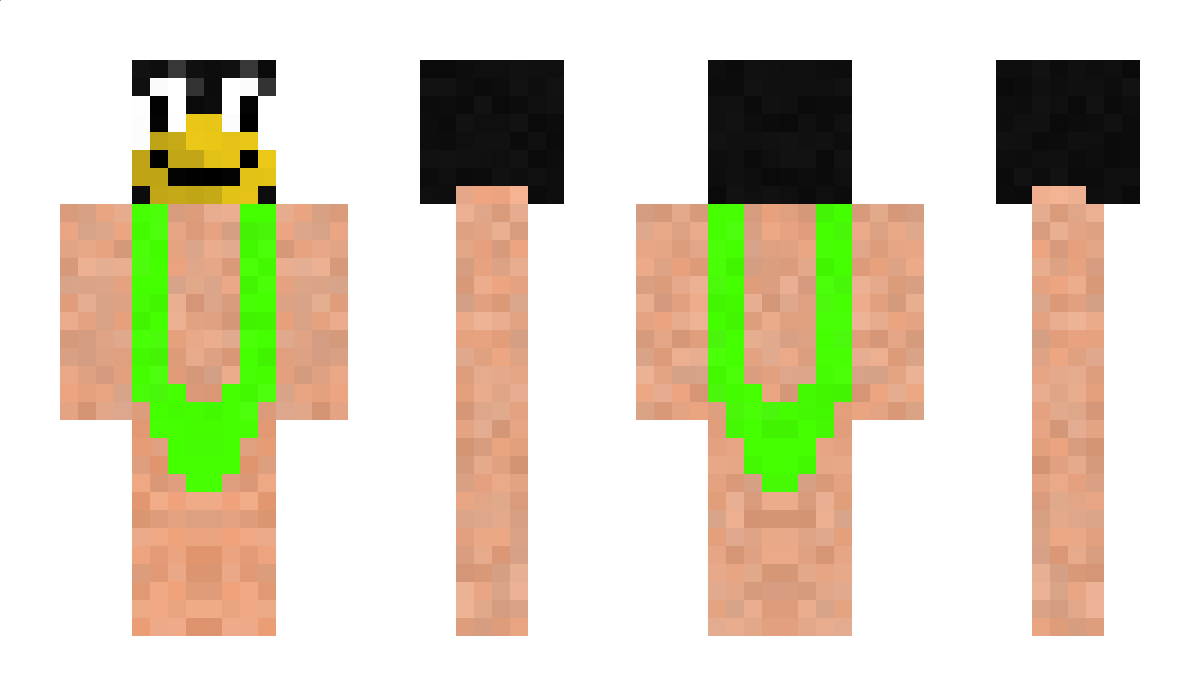 Alter Minecraft Skin