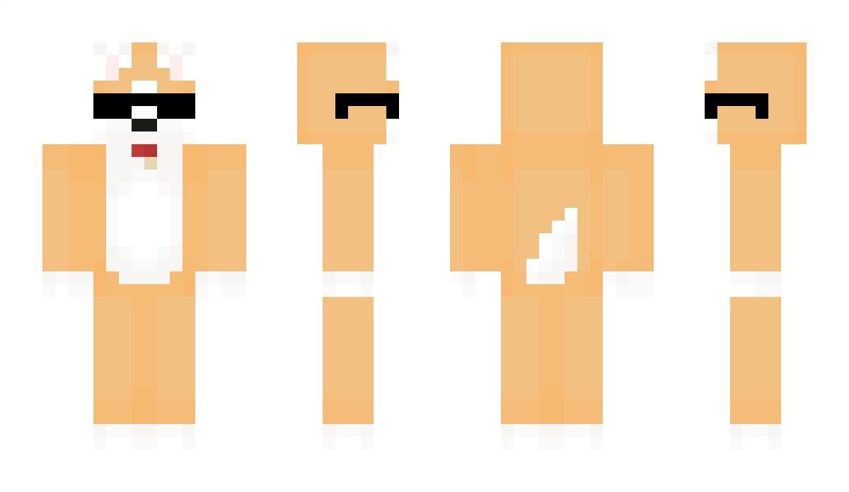 HYE1113 Minecraft Skin