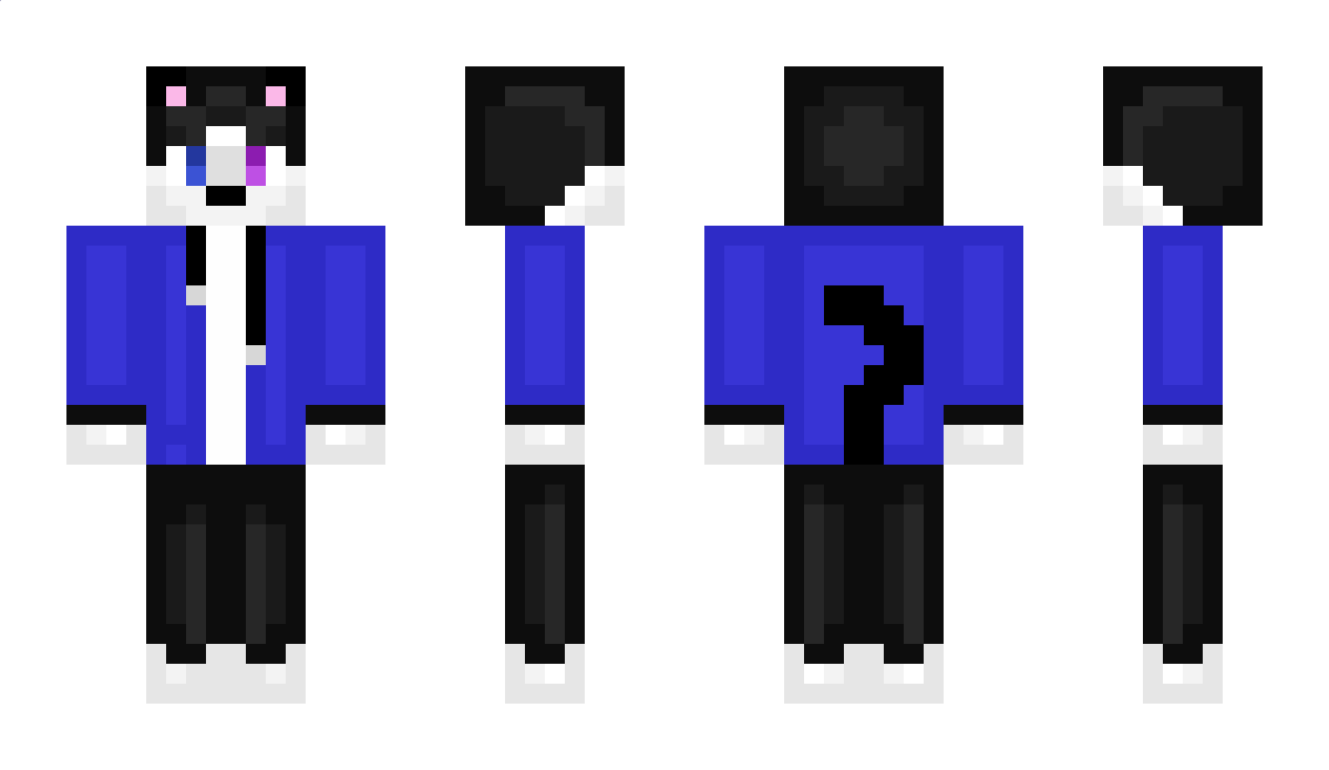 catman0221 Minecraft Skin