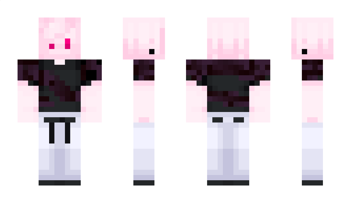 J305 Minecraft Skin