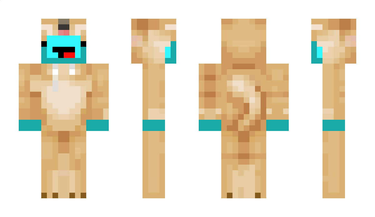 AvengerDCFan13YT Minecraft Skin