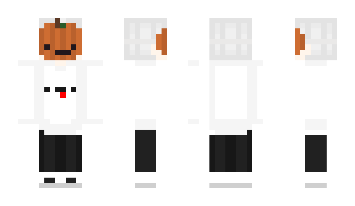 Raito16 Minecraft Skin