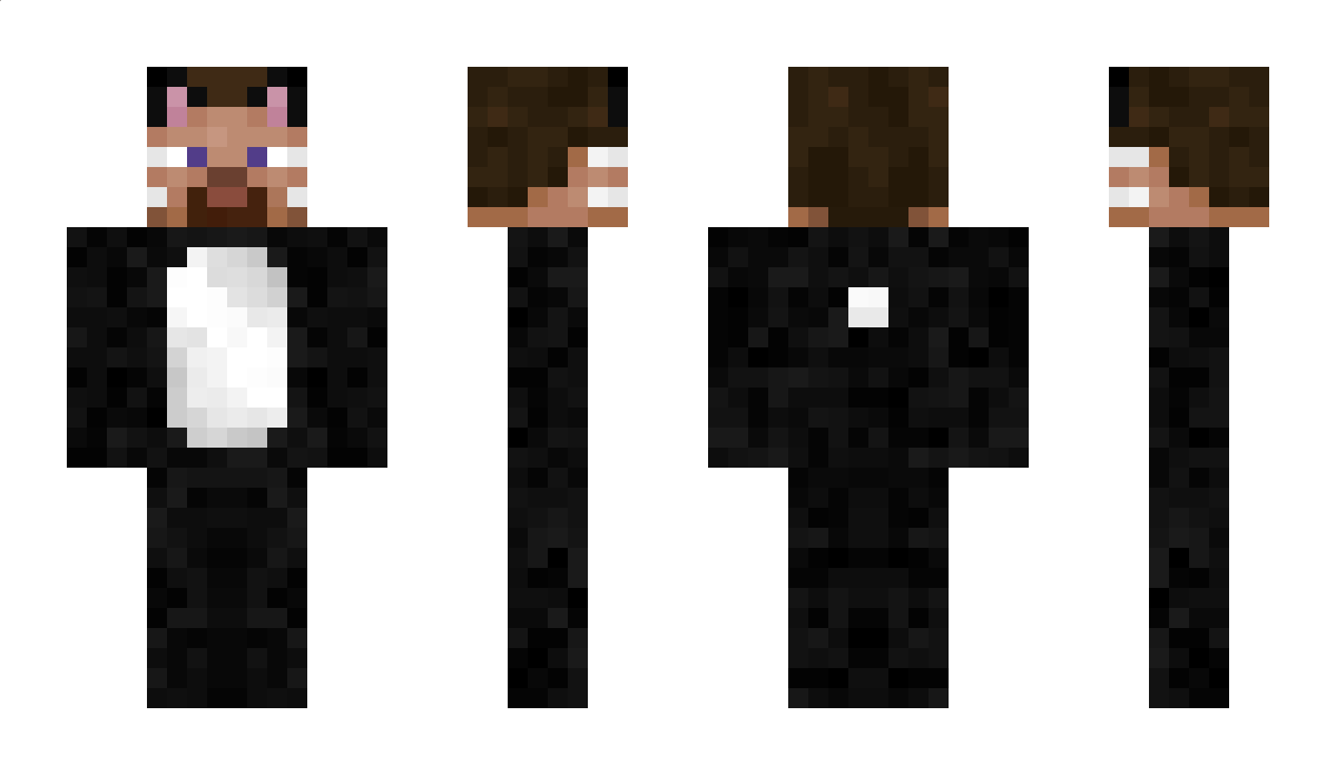 TheSteve Minecraft Skin