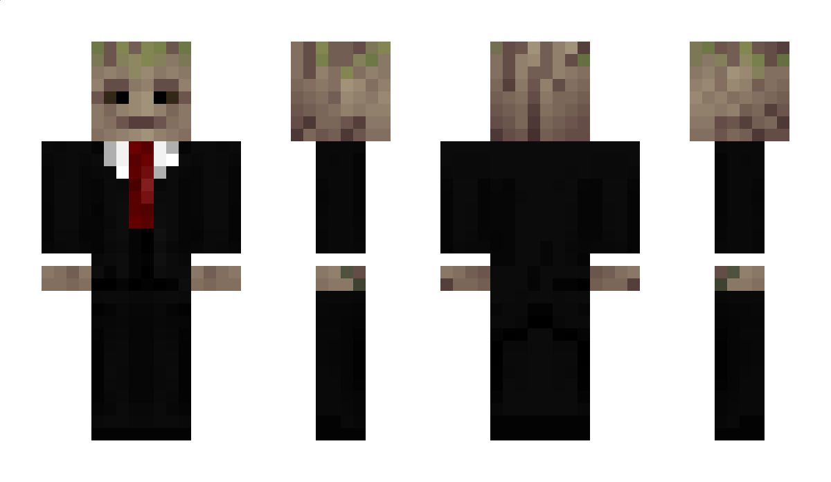 fpscheck Minecraft Skin