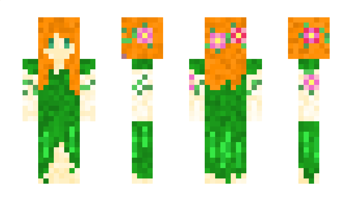 Bidule2508 Minecraft Skin