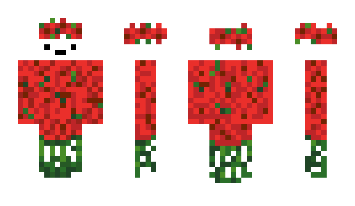 Flovwver Minecraft Skin