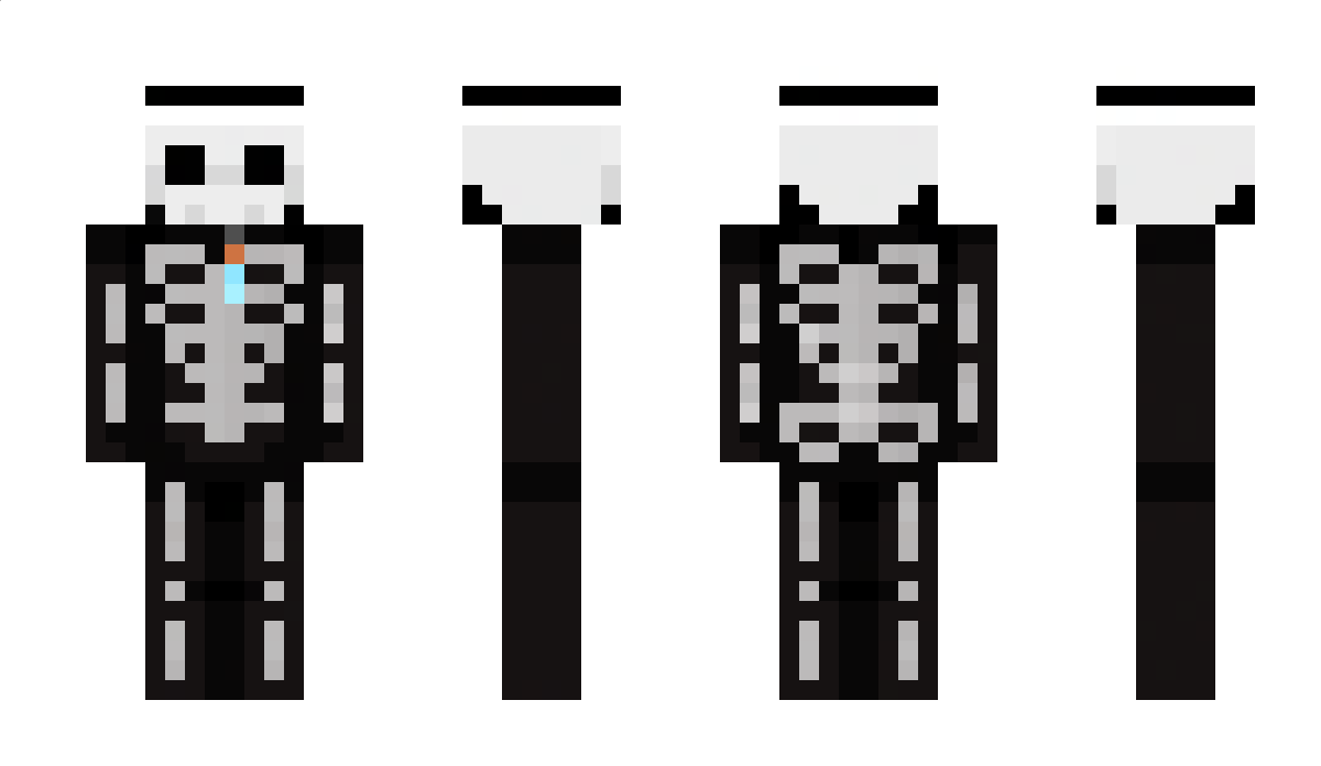 skelsmc Minecraft Skin