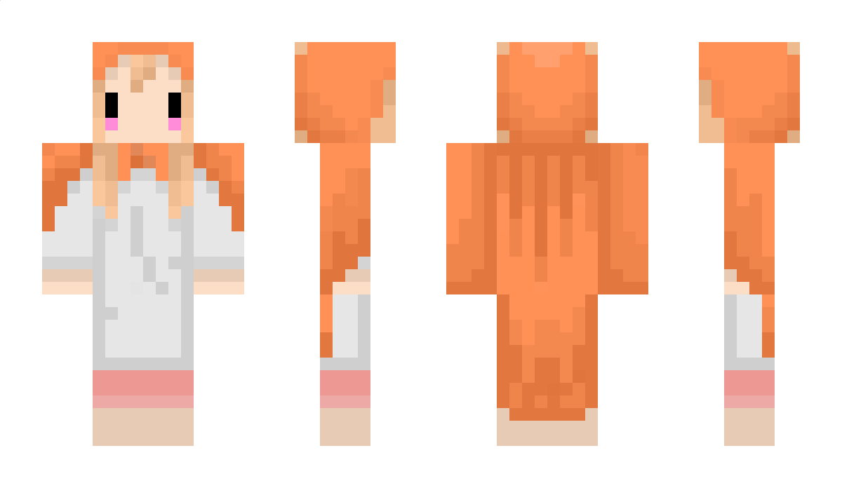 Springer Minecraft Skin