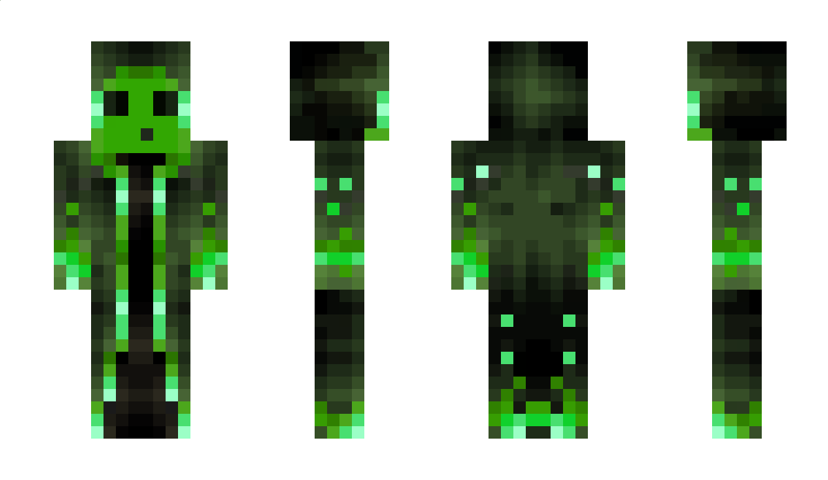 NotDigi Minecraft Skin