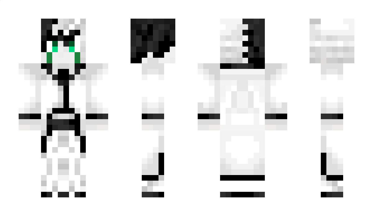 dysk Minecraft Skin