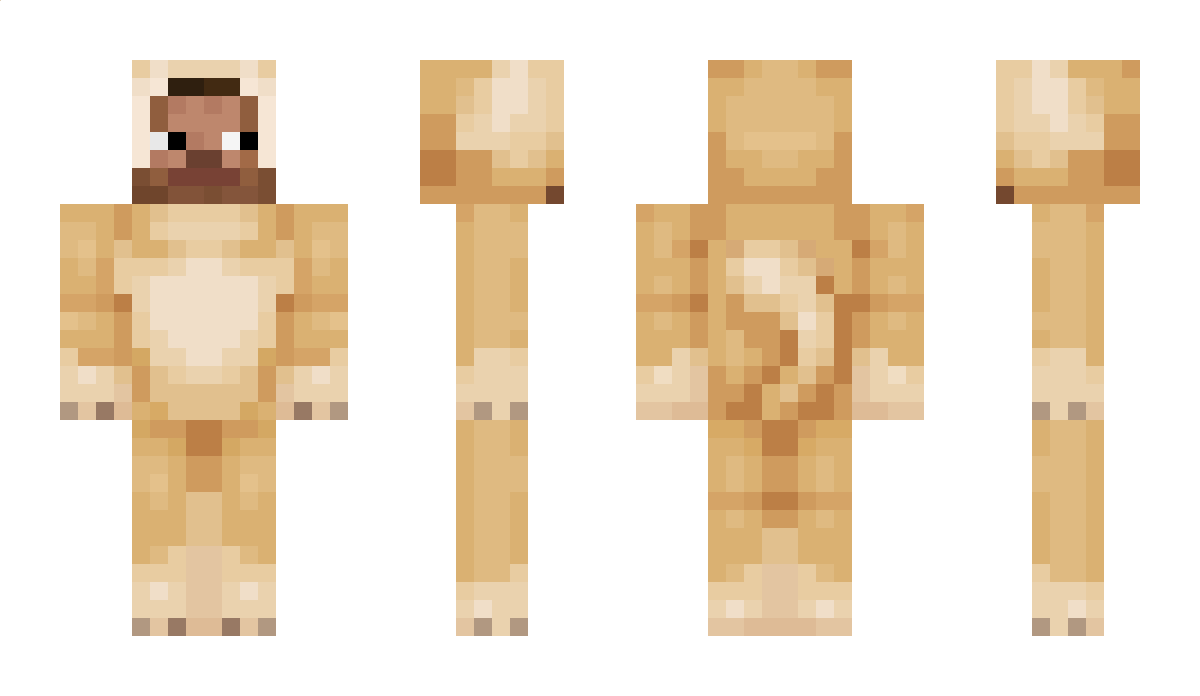 Spieler Minecraft Skin