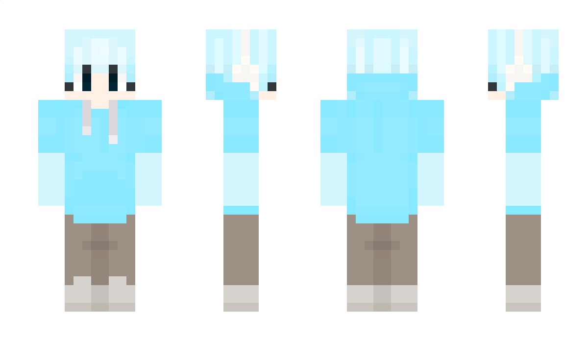 tlemi Minecraft Skin