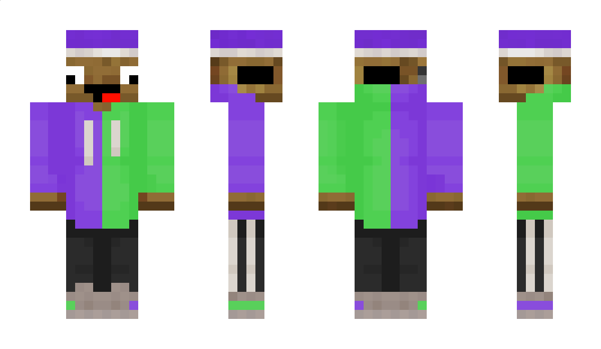 Vlooicraft Minecraft Skin