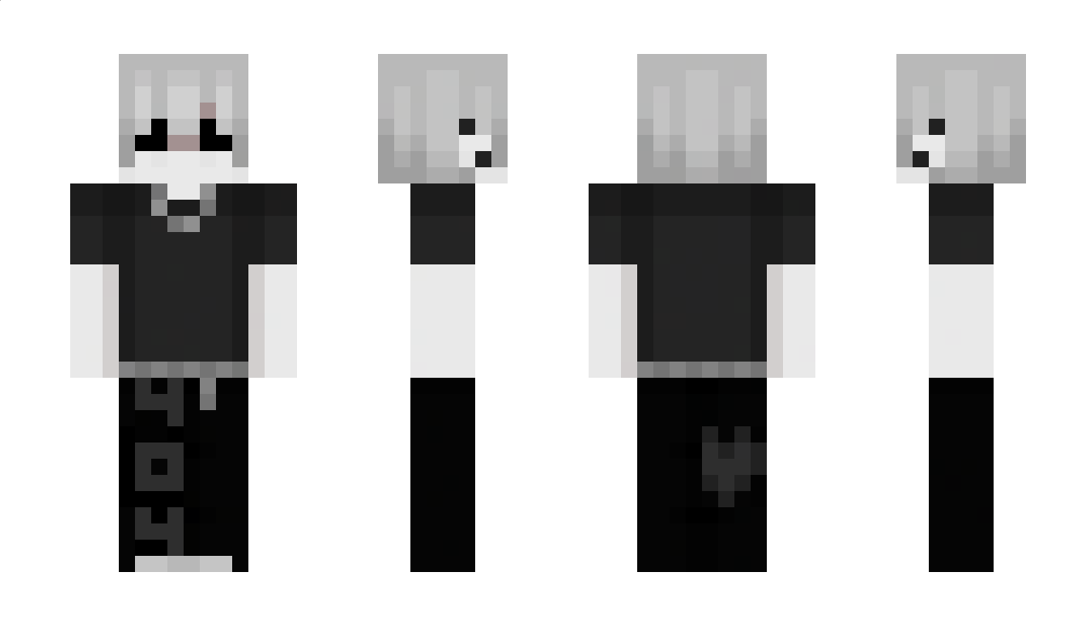 404g Minecraft Skin